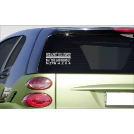 EZSTIK you cant fix stupid numb it 2x4 8" sticker *E975* DECAL joke funny jdm turbo 4x4