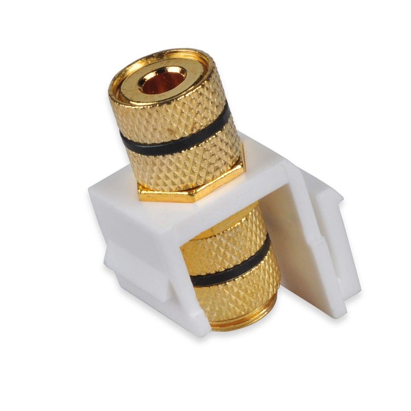 Speaker Wall Plate with 8 Banana Binding Posts, HTTX [2-Gang]