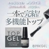 PRE GEL Non-Wipe Clear Top Gel 12g