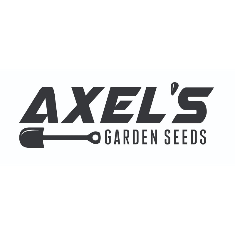 Axel's Garden Seeds Carrot MICROGREEN Seeds | Non-GMO | Heirloom
