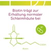 KadeFlora Lactic Acid Bacteria-Made in Germany