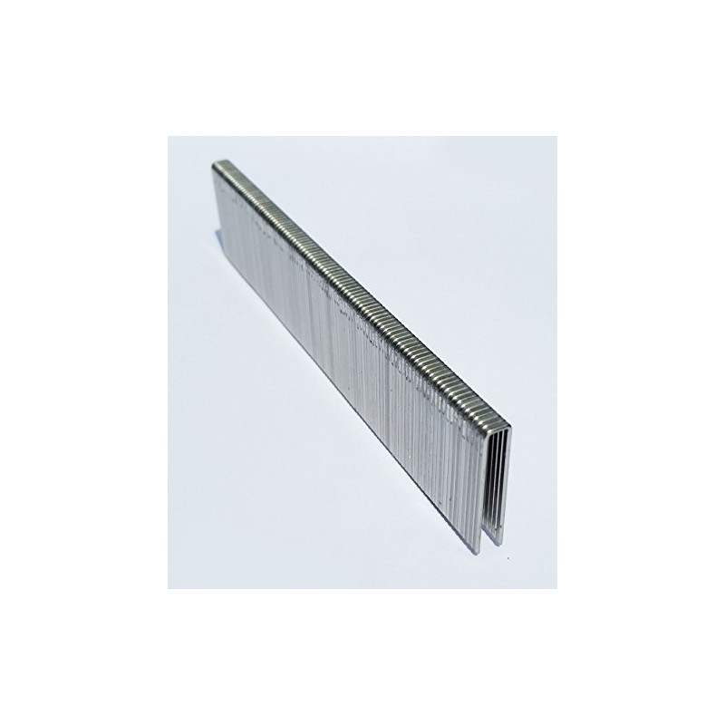 NAILPRO L11SS Stainless Steel 1/4" Narrow Crown x 3/4" Leg