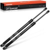 A-Premium Tailgate and Rear Left and Right Window Lift Supports