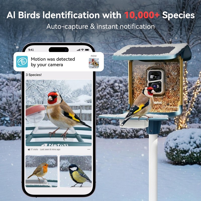 Bird Feeder with Camera, Support 2.4GHz/5GHz, 2K Live Steam for