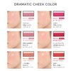 MAQUILLAGE (マキアージュ) Dramatic Cheek Color (Cream) RS421 Peach Sorbet 2g