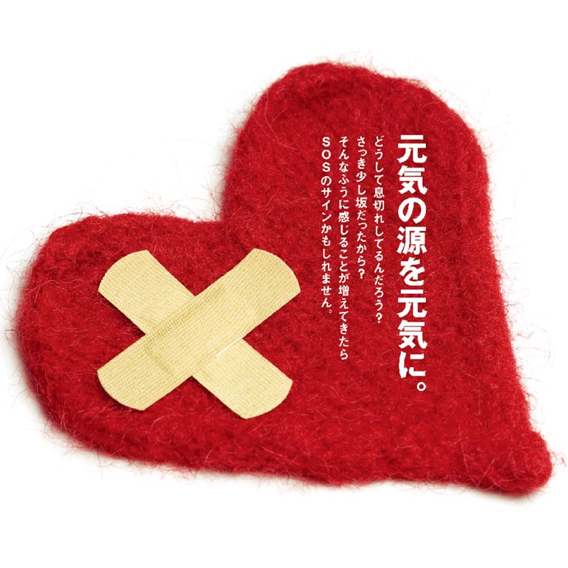 コエンザイム Q10 ポリフェノール120粒入り 1日4粒コエンザイQ10 赤ワインポリフェノール ヒアルロン酸 アスタキサンチン バイオペリン