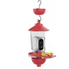 Ant Moat and Pole Mounted Kit for Hummingbird Feeder