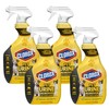 Clorox Pet Urine Remover for Stains and Odors, 24 Ounce