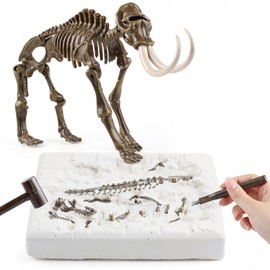 Kids Archeology Dinosaur Bones Digging Kit, Dinosaur Fossil Dig Kit for Kids Toys (Mammoth)