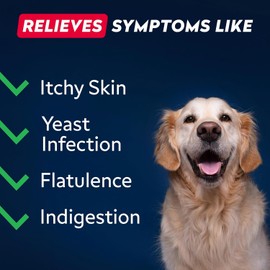 STRELLALAB Dog Probiotics for Gut Health & Digestive Enzymes Fiber Supplement - Anti Diarrhea, Constipation, Upset Stomach, Gas Relief - Digestion Treats Chews - 60 Chews Pork