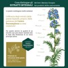 Dr Giorgini Integratore Alimentare, Gramigna Estratto Integrale Liquido Analcoolico -