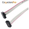 Connectors Pro - 2 cables F/F de 25 cm, 10