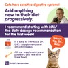 Dr. Bill’s Feline Immune Support | Boosts Cat Immunity and