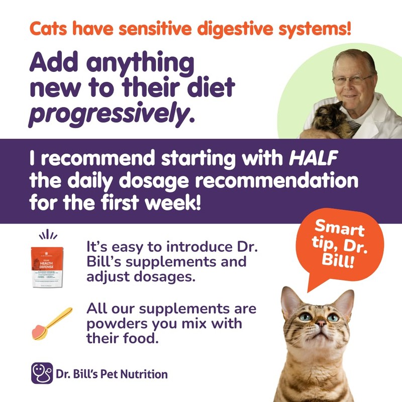 Dr. Bill’s Feline Immune Support | Boosts Cat Immunity and