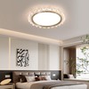 Oliterlux Crystal Flush Mount Ceiling Light, Dimmable LED Modern Close