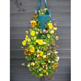 Bowry's Pack of 2 Hanging Strawberry Growbag Planters
