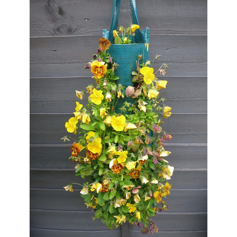 Bowry's Pack of 2 Hanging Strawberry Growbag Planters