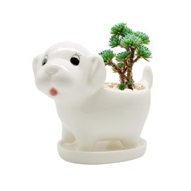 DIYOMR Cute Animal Planter Cow Dog Shaped Funny Small Succulent Pot White Ceramic Plant Pot with Tray for Mini Plants Flowers Cactus, Smooth Ceramic - Plants Not Included (Dog)