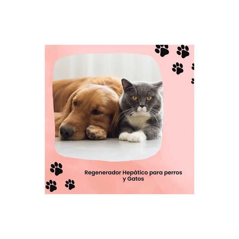 Trihepat Labyes 100ml Protector Hepático Perro Y Gato 3 Pz