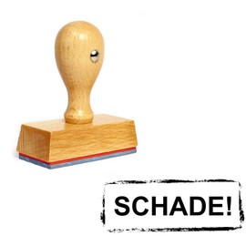 Dekolando Teacher Stamp for Teachers School Stamp Teaching Primary School High School High School Study Evaluation Motivation Assessment Office Stamp 49 x 19 mm (Shame)