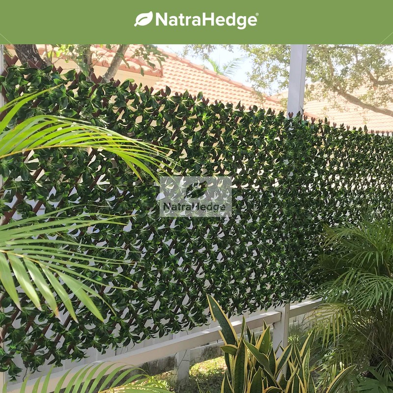 NatraHedge Artificial Ficus Leaf Expandable Lattice