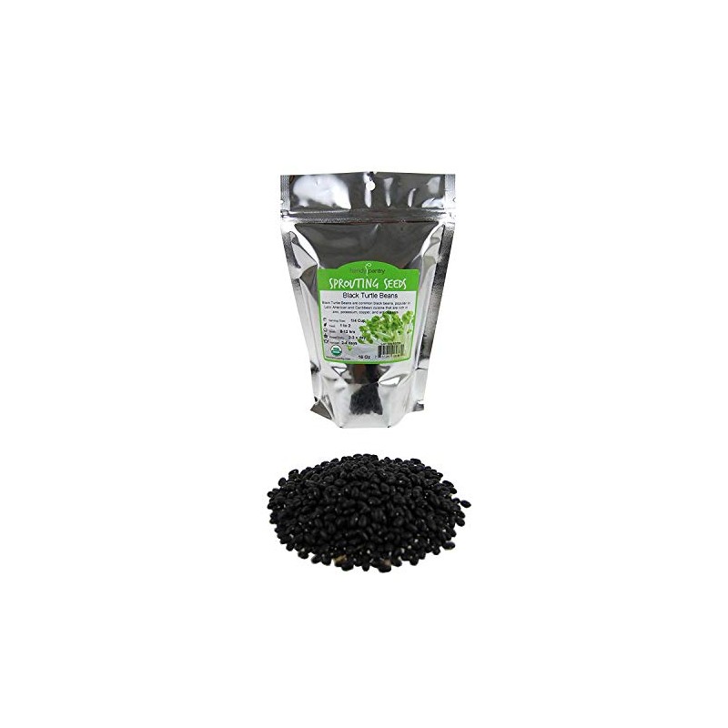 Organic Black Turtle Beans -1 Lb- Called Black Bean &