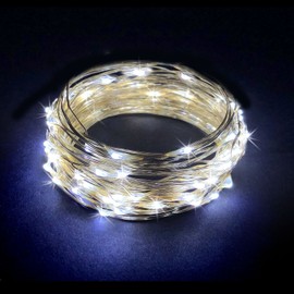 RTGS 60 LEDs String Lights Battery Operated on 20 Feet Long Silver Color Wire, Indoor and Outdoor with Waterproof Battery Box and Timer (Cold White)