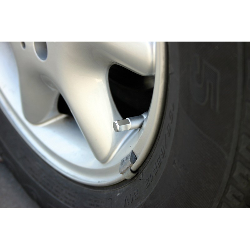 Pilot Universal Valve Caps Silver Set of 4