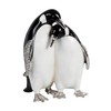 Pair of Penguins - Trinket box - Treasured Trinkets