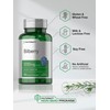 Horbäach Bilberry Fruit Extract 1200mg | 100 Capsules | Vegetarian,
