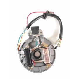 Unbranded Pit Dirt Bike Parts Magneto Coil Stator Plate for 90cc 110cc 125cc SUV    [C16]