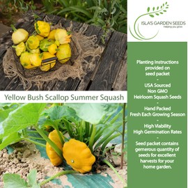 Yellow Bush Scallop Summer Squash Seeds (Pattypan, Cucurbita pepo var. clypeata) – 30+ Non GMO Heirloom Seeds by Isla’s Garden Seeds, Ideal for Compact Garden Growing, Excellent Kitchen Use, Gift Idea