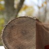 Wood-Mizer 132" Sawmill Bandsaw Blades 5-Pack - DoubleHard 10° All-Purpose