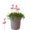 4 Pcs Pink Flamingo Garden Statue Fine Details Stylish Vivid