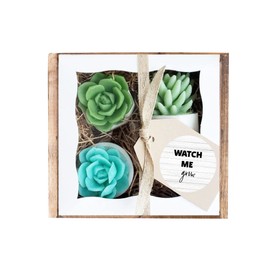 Baby Shower Gift. Succulent SOAP Gift Set. Watch Me Grow. New Mom Expecting Mother. Farmhouse Decor