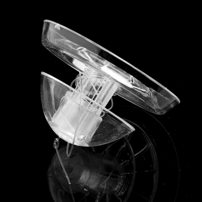 Haiki Clear Snail Aquarium Fish for Planarian Catch Environment Snail