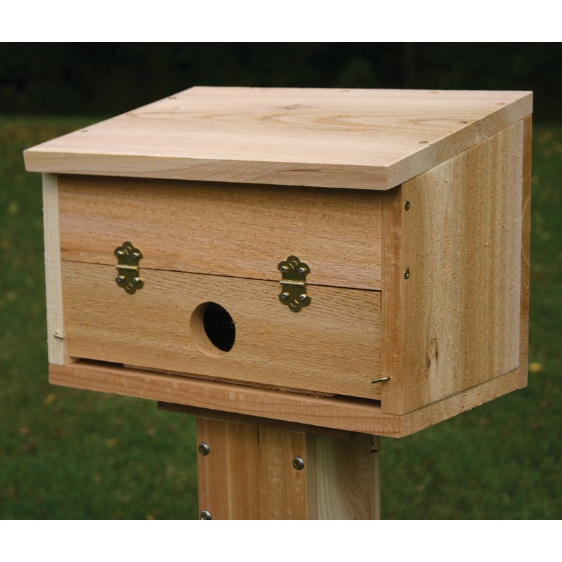 Stovall 15H Roosting Box