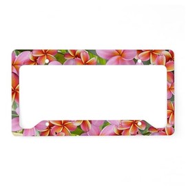 CafePress Pink Plumeria Flowers License Plate Holder Aluminum License Plate Frame, License Tag Holder