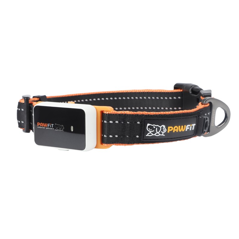 Pawfit 3 Series Collar, Nylon Dog Collar with Safety Buckle,