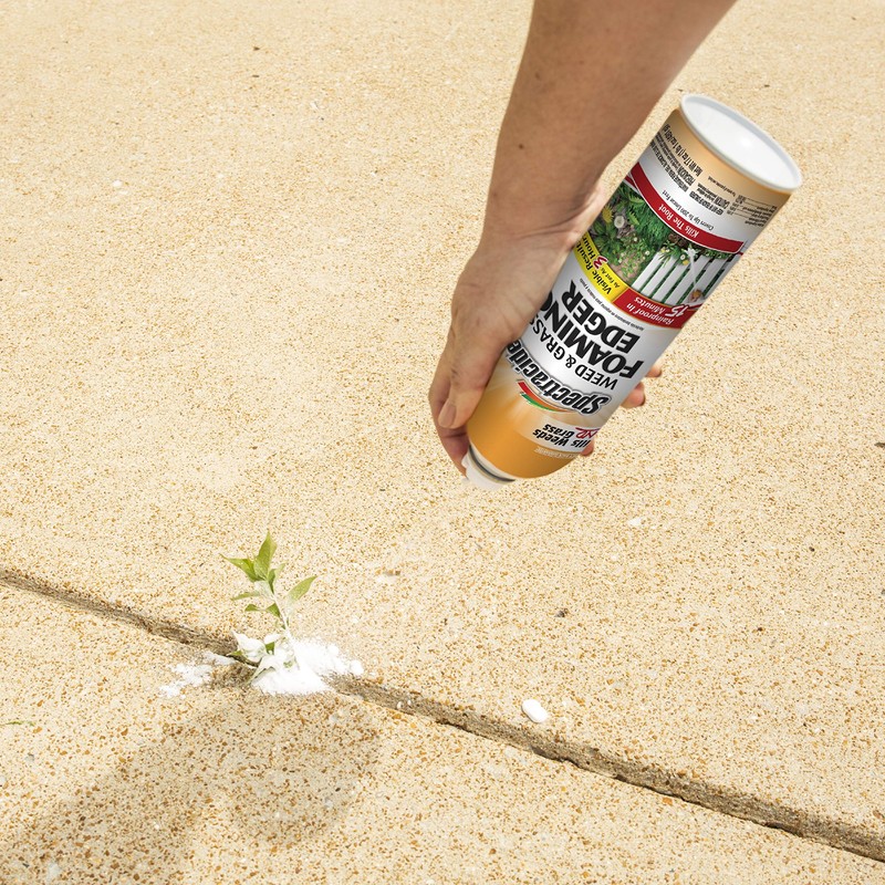 Spectracide Weed & Grass Foaming Edger (17 oz), 1 Count