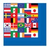 Beistle 58122 International Flag Luncheon Napkins 2-Ply, 16 per Package