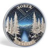2 Year Sobriety Coin Gifts | Forest Wanderer AA Chip