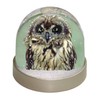 Cute Tawny Owl Photo Snow Globe Waterball - Advanta Group®
