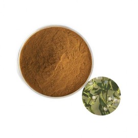 Mistletoe Extract Powder 100g Sample