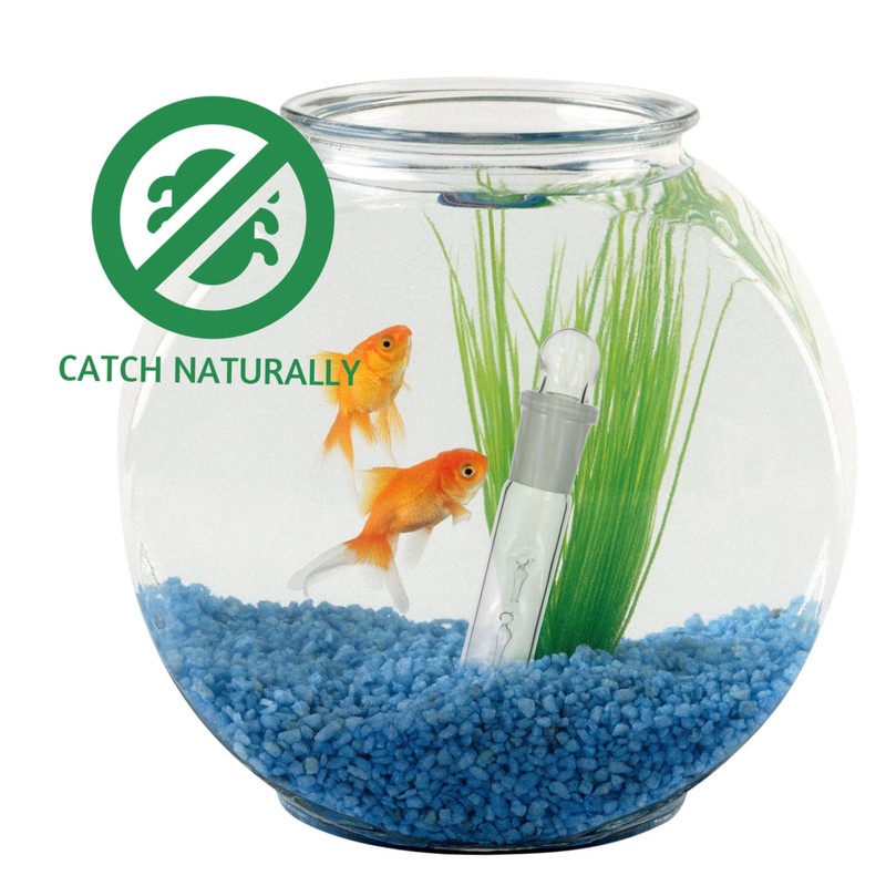 Hohopeti 2hole Fish Tank Catcher Trap for Aquariums Easy to