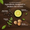 Sable & Stone Sable & Stone | Vital | Massage