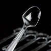AKOAK 100 Count Disposable Mini Clear Plastic Spoons for Dessert,