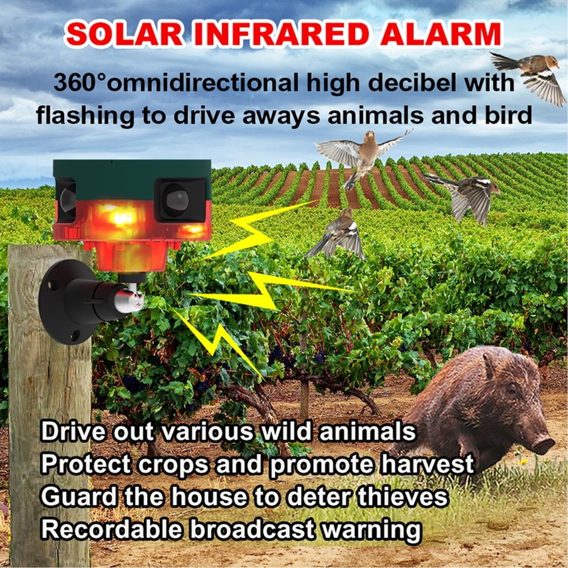 Solar Outdoor Sports Sensor 360 Degree Motion Detection Siren 2
