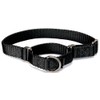 PetSafe Adjustable Martingale Collar - Only Tightens When Dogs Pull,