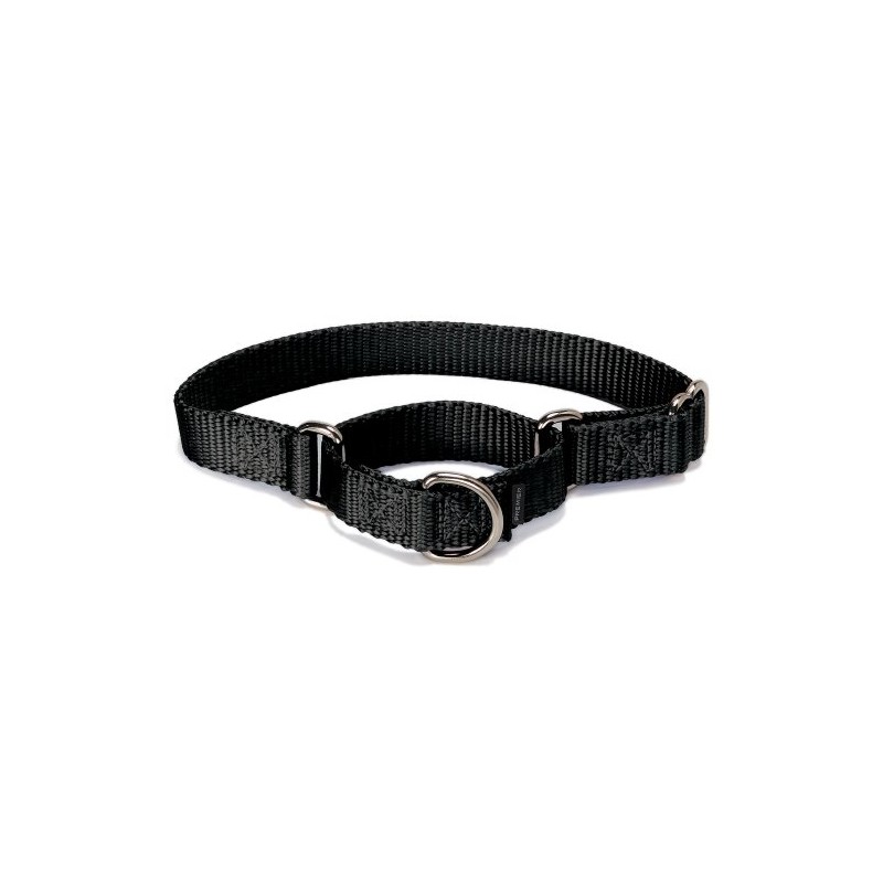 PetSafe Adjustable Martingale Collar - Only Tightens When Dogs Pull,